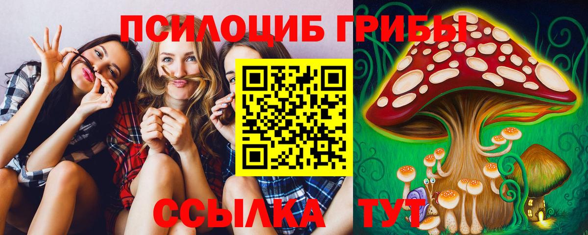 Галлюциногенные грибы Psilocybine cubensis Коломна
